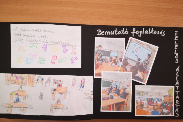 img-20241021-1321275A729FC2-DB35-E24E-49FE-3EF572BC3BAF.jpg