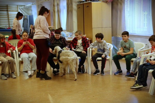 img-0160-800x5338DB42761-EE84-FB58-CB55-006FE5FE5124.jpg