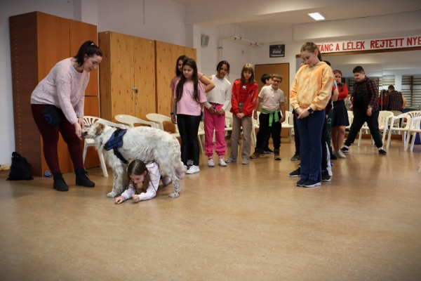 img-0192-800x5334D60F682-C300-DC15-6C2D-B8823834C131.jpg