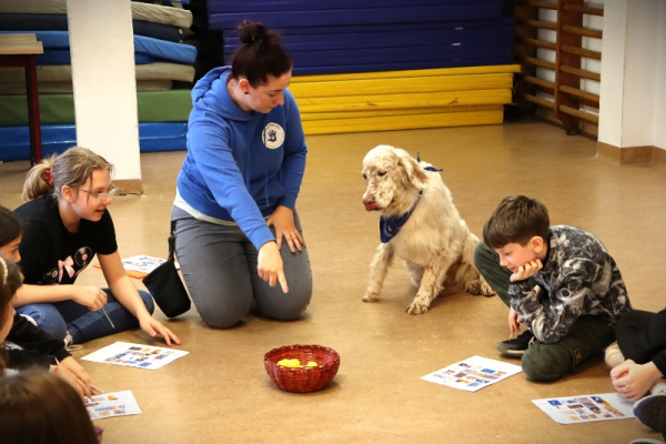img-1442-800x5333C586BFB-BC9D-2C85-41ED-4CDF2C973D80.jpg